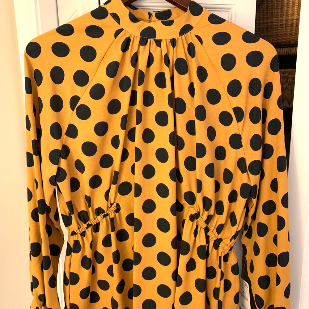‼️NWT fun Zara polka dot top, size LARGE‼️